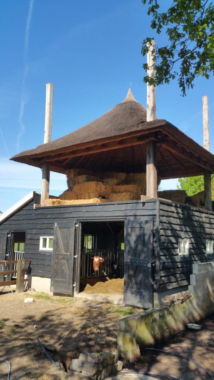 WijheLandgoed Groot Boerle住宿加早餐旅馆 外观 照片
