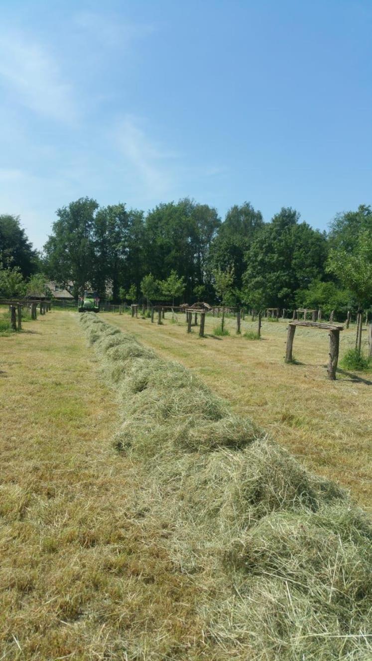 WijheLandgoed Groot Boerle住宿加早餐旅馆 外观 照片